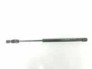 Gasdruckfedern Set Hinten 51247060622 BMW 1 serie (E81) Schrägheck 3-drs 123d 16V . (N47-D20B) 2008