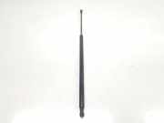 Gasdruckfedern Set Hinten 51247118885 BMW SERIE 3 COMPACT 2.0 16V D (150 CV) 2002