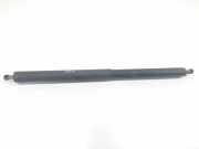 Gasdruckfedern Set Hinten 51247201545 BMW 5 serie Gran Turismo (F07) Schrägheck 535d xDrive 24V (N57-D30B) 2011