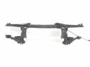 Schließplatte Kühlerträger 51718402319 BMW X5 (E53) SUV 3.0d 24V (M57N-D30(306D2)) 2004