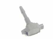 Zündspule 224332428R Renault IV Technofeel 2016