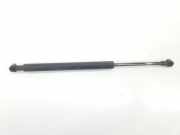 Gasdruckfedern Set Hinten 51248254281 BMW 3 serie (E46/2) Coupé 330 Cd 24V (M57N-D30(306D2)) 2004