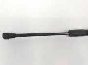 Gasdruckfeder Vorne 51232990344 BMW X1 (E84) SUV xDrive 20d 2.0 16V (N47-D20C) 2010