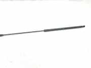 Gasdruckfeder Set Vorne 51238240596 BMW 7 serie (E65/E66/E67) Limousine 735i,Li 3.6 V8 32V (N62-B36) 2004