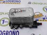 Kühler Automatik 17217803830 BMW X5 (E53) SUV 3.0d 24V (M57N-D30(306D2)) 2005