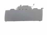 Handschuhfach 108334000H Tesla Model 3 Limousine RWD 60 kWh (3D7)