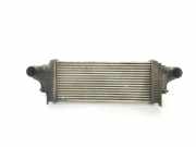 Ladeluftkühler A1645001900 Mercedes-Benz ML II (164/4JG) SUV 3.0 ML-320 CDI 4-Matic V6 24V (OM642.940) 2007