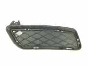 Grill Gitter Links 51117210469 BMW X3 (F25) SUV sDrive18d 16V (N47-D20C) 2012