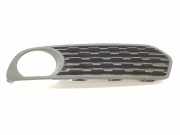 Grill Gitter Links 51117245869 BMW 1 serie (F20) Schrägheck 5-drs 116d 2.0 16V (N47-D20C) 2013