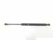 Gasdruckfedern Set Hinten 51248254281 BMW 3 serie (E46/4) Limousine 320d 16_V (M47N(204D4)) 2004