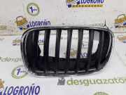 Grill Gitter Links 51137171395 BMW X6 (E71/E72) SUV xDrive40d 3.0 24V (N57-D30B) 2006