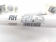 Vorhang Airbag Rechts VOOR R2X6R042D94AE Ford Tourneo Großraumlimousine 1.0 12V Ecoboost (B7JB)
