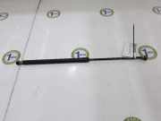 Gasdruckfeder Hinten 90450JD01B Nissan Qashqai (J10) SUV 1.5 dCi DPF (K9K) 2007