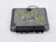 Motorsteuergerät 038906018P Volkswagen Passat (3B2) Limousine 1.9 TDi 110 (AFN) 1999 AFN