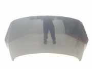 Motorhaube 7901L9 Peugeot 307 (3A/C/D) Schrägheck 1.6 HDi 16V (DV6ATED4(9HX)) 2006