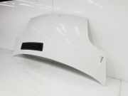 Motorhaube 6510000QAC Nissan Primastar Van 2.0 dCi 120 (M9R-780) 2007