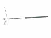 Gasdruckfeder Hinten 51247038248 BMW SERIE 3 COMPACT 2.0 16V D (150 CV) 2004