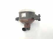 Nebelscheinwerfer Rechts 1481005 Ford Focus 2 Schrägheck 1.6 16V (HWDB) 2006