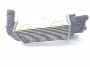 Ladeluftkühler L1BG6D624AB Ford Tourneo Großraumlimousine 1.0 12V Ecoboost (B7JB)