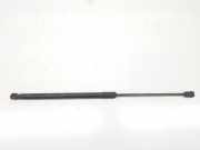 Gasdruckfedern Set Hinten 51247127875 BMW 3 serie Touring (E91) Kombi 330Xd 24V (N57-D30A) 2008