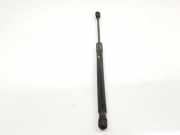 Gasdruckfedern Set Hinten 904510001R Renault III BERLINA 5 P 1.6 16V (101 CV) 2011