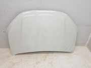 Motorhaube 651004686R Dacia Logan Express (FS) Van 1.4 (K7J-710)