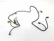 Kabelbaum PDC 1877969 Ford LIM. 2.0 TDCi (150 CV) 2016