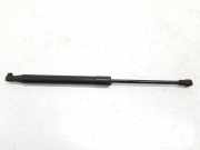 Gasdruckfeder Set Vorne 52216615 Fiat 500L (199) Großraumlimousine 1.4 16V (843.A.1000(Euro 4; Euro 5; Euro 6)) 2016