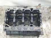 Motorblock 03N023C Skoda Superb (3V3) Liftback 2.0 TDI (DFGA)