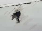 Stoßstangeneckelinks Hinten 850179165R Renault Trafic Passenger (1JL/2JL/3JL/4JL) Bus 1.6 dCi 125 Twin Turbo (R9M-452) 2016