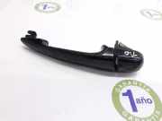 Türgriff Außen Ra 51217002272 BMW 3 serie (E46/4) Limousine 330d 24V (M57N-D30(306D2)) 2003