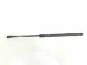 Gasdruckfeder Hinten 51247060622 BMW 1 serie (E81) Schrägheck 3-drs 123d 16V . (N47-D20B) 2007