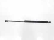 Gasdruckfedern Set Hinten 51841634 Fiat Panda/Pandina (312) Schrägheck 1.3 D 16V Multijet (330.A.1000) 2016