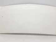 Motorhaube 6510000QAF Nissan Interstar (X70) Van 2.5 dCi 16V 150 (G9U-632) 2006