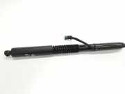 Gasdruckfedern Set Hinten 7397322 BMW SERIE G01 xDrive20d