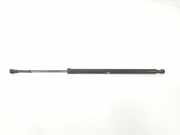 Gasdruckfedern Set Hinten 51248402405 BMW X5 (E53) SUV 3.0d 24V (M57N-D30(306D2)) 2004
