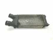 Ladeluftkühler 0384L9 Citroën Berlingo Van 1.6 Hdi 75 16V Phase 1 (DV6BUTED4(9HT)) 2012