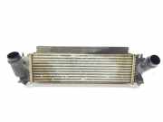 Ladeluftkühler 144614JA0B Nissan NP 300 Navara (D23) Pick-up 2.3 dCi 16V 4x4 (YS23DDT)
