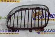 Grill Gitter Rechts 51137065702 BMW 5 serie (E60) Limousine 530d 24V (M57N-D30(306D2)) 2003