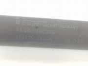 Gasdruckfeder Hinten 51243400379 BMW 2.0 16V D (150 CV) 2005