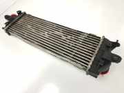 Ladeluftkühler 8200411160 Nissan Primastar Van 2.0 dCi 120 (M9R-780(Euro 5)) 2009