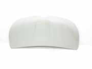 Motorhaube 651224338R Renault L1H1 29t Komfort