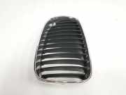 Stoßstangengitter RECHTS VOOR 51137166440 BMW 1 serie (E87/87N) Schrägheck 5-drs 118d 16V (N47-D20A) 2009