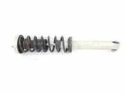 Stoßdämpfer Links Hinten 31326764458 BMW 5 serie (E60) Limousine 525d 24V (256D2) 2006