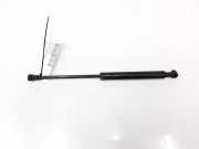 Gasdruckfeder Vorne 51238174866 BMW 5 serie (E39) Limousine 530d 24V (M57-D30(306D1)) 1999