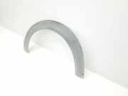 Zierleiste Radhausschale Links Vorne 5081729 Ford 1.8 TDCi (75 CV) 2012