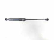 Gasdruckfeder Set Vorne 93460596 Opel Vivaro Van 1.6 CDTI 95 Euro 6 (R9M-413(R9M-H4)) 2018