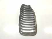 Grill 51137201968 BMW 3 serie Touring (E91) Kombi 318d 16V (N47-D20C) 2008