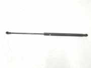 Gasdruckfeder Vorne 811613C501 Kia Magentis (GD) Limousine 2.0 16V (G4JP) 2003