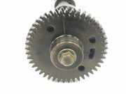 Nockenwelle 1302000Q0E Infiniti FX (S51) SUV 30D 3.0 V6 24V AWD (V9X) 2014